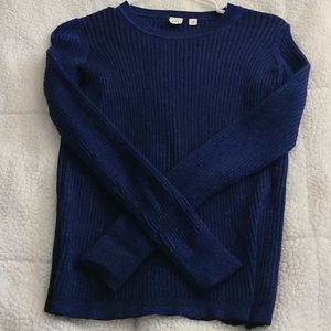 Blue Gap Sweater